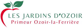 Jd-logo-web1